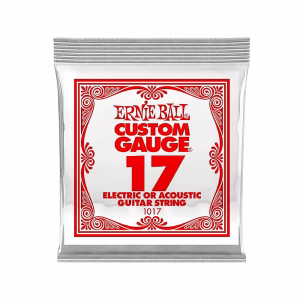Cuerda Individual Ernie Ball P01017